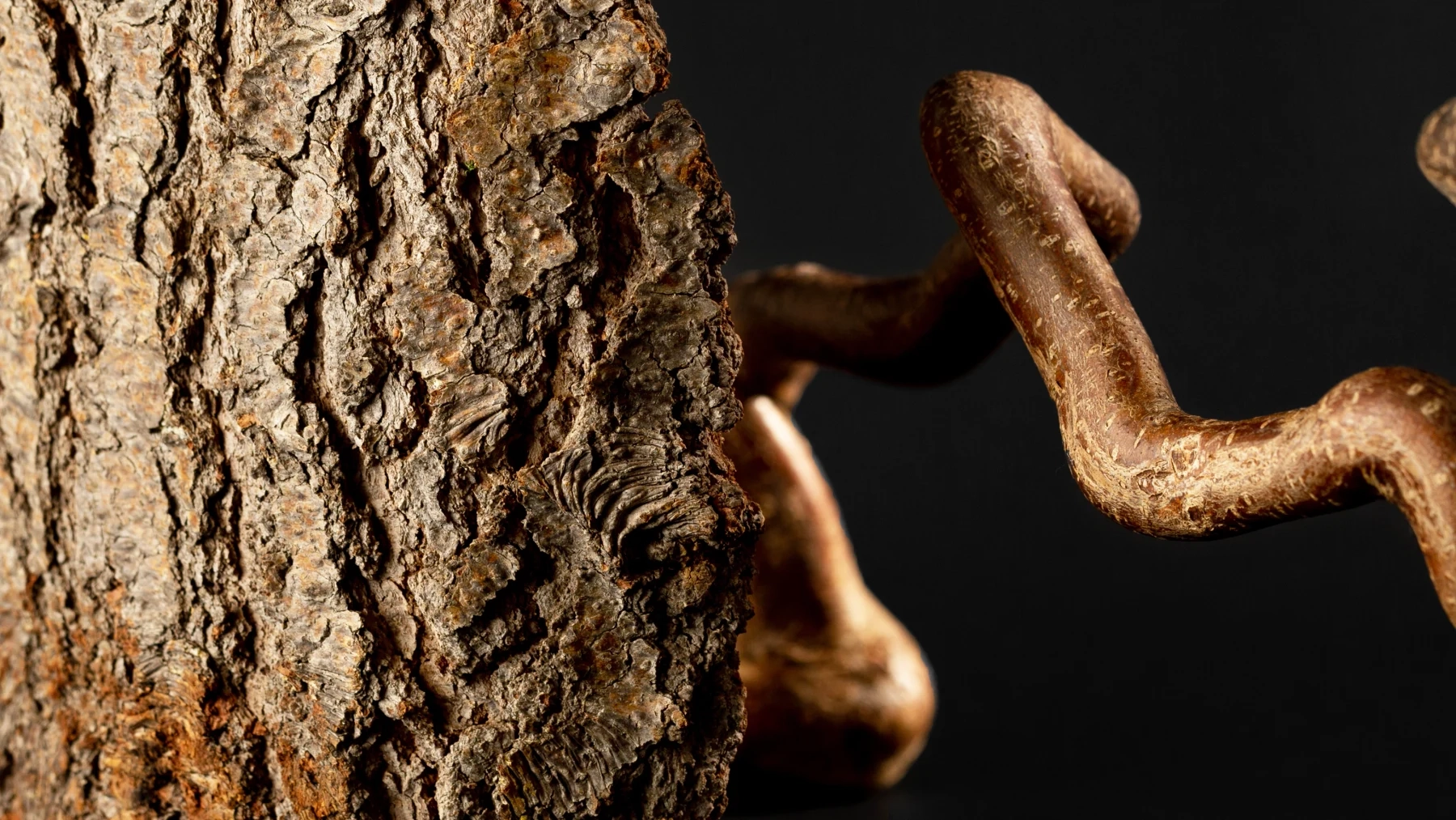 Woodland Shield Natural Deodorant