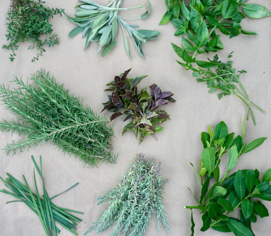 Organic Herbal Oil Blend